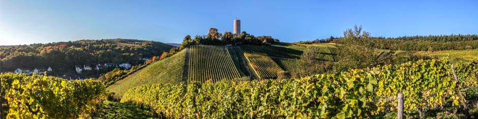 Wein aus dem Rheingau